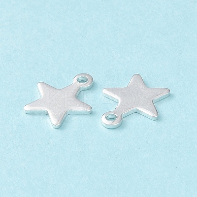 304 Stainless Steel Charms STAS-L234-069S-1