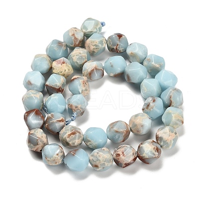 Dyed Natural Howlite Imitation Shoushan Stone Beads Strands G-G203-08F-1