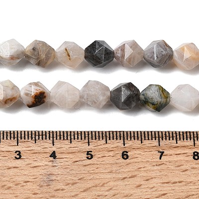 Natural Bamboo Leaf Agate Beads Strands G-Z119-A27-02-1