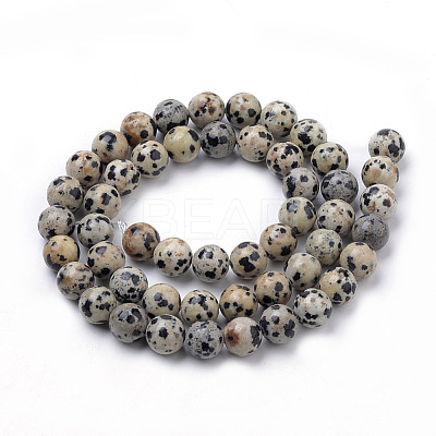 Natural Dalmatian Jasper Beads Strands X-G-S259-24-8mm-1