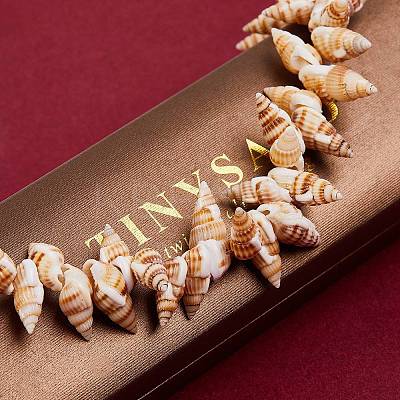 Natural Spiral Shell Beads Strands BSHE-SZ0001-03-1