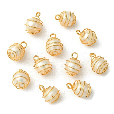 15Pcs Natural Cultured Freshwater Pearl Copper Wire Wrapped Pendants PALLOY-CJ00035-1