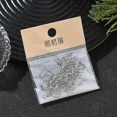 SHEGRACE Brass Earring Hooks XGR0140P-153P-1