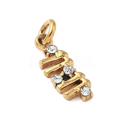 304 Stainless Steel Micro Pave Cubic Zirconia Charms STAS-D364-01G-1