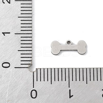 201 Stainless Steel Charms STAS-S174-13P-1