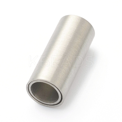 Tarnish Resistant 304 Stainless Steel Magnetic Clasps with Glue-in Ends STAS-B017-01C-P-1