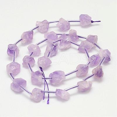 Natural Amethyst Bead Strands G-G937-S-03-1