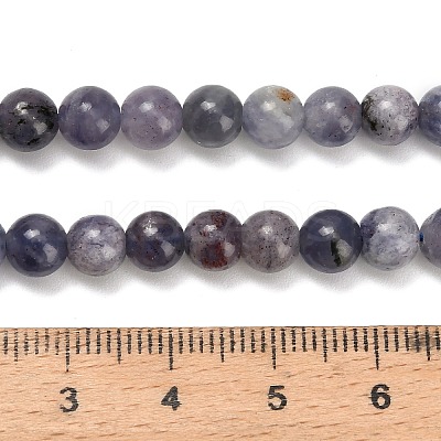 Natural Iolite Beads Strands X-G-G300-A04-6mm-1