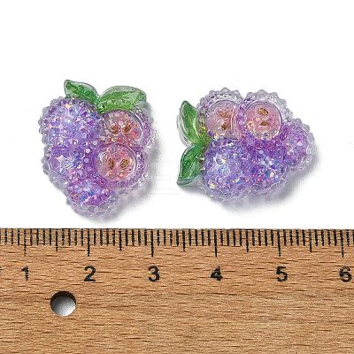 Fruit Transparent Epoxy Resin Decoden Cabochons LS-CRES-I030-23E-1