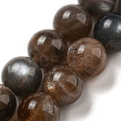 Natural Black Moonstone Beads Strands G-A219-A01-03-1