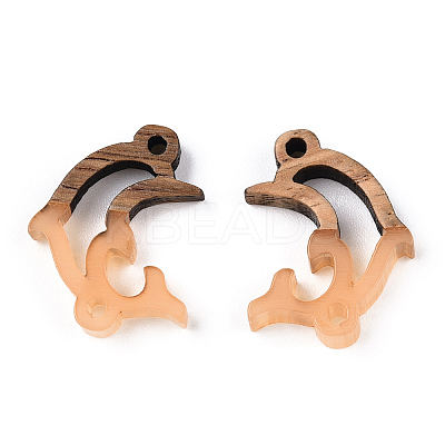 Opaque Resin & Walnut Wood Connector Charms RESI-N039-46D-1