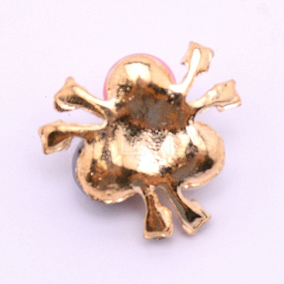 Alloy Cabochons Accessories LS-FIND-TAC0001-17A-1