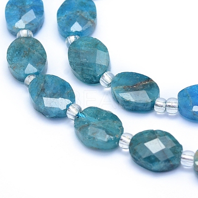 Natural Apatite Beads Strands G-L552J-01B-1
