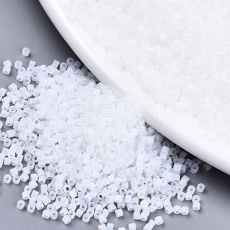 FGB 11/0 Grade A Glass Seed Beads SEED-S030-1141-1