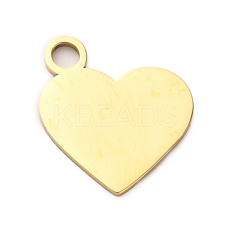 304 Stainless Steel Pendants LS-STAS-M117-01B-G-1