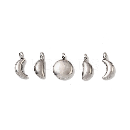 5Pcs 304 Stainless Steel Charms X-STAS-M017-14P-1