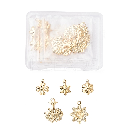 40Pcs 5 Style 304 Stainless Steel Pendants STAS-UN0026-38-1