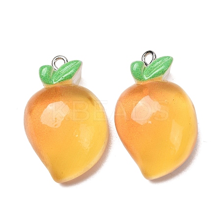 Fruit Theme Opaque Resin Imitation Food Pendants RE-CBA49A8-04C-1