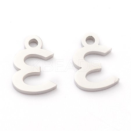 Non-Tarnish 304 Stainless Steel Charms STAS-G244-01E-1