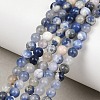 Natural Sodalite Beads Strands GSR4mmC013-2