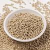MIYUKI Round Rocailles Beads SEED-JP0009-RR0593-2