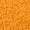 TOHO Round Seed Beads SEED-TR11-0148F-2