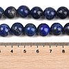 Natural Lapis Lazuli Beads Strands G-S333-10mm-013-6