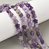 Natural Amethyst Star Beads Strands G-Z080-A04-1
