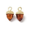 Alloy Enamel Charms LS-FIND-C074-02A-1