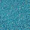 TOHO Round Seed Beads X-SEED-TR15-0023-2