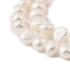 Natural Cultured Freshwater Pearl Beads Strands PEAR-P064-19J-02B-4