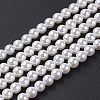 Shell Pearl Bead Strands X-BSHE-P023-3mm-1