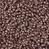 MIYUKI Round Rocailles Beads X-SEED-G007-RR0337-3