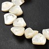 Natural White Shell Beads Strands SHEL-G014-15-4