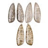 Natural Fossil Coral Pendants G-B187-01C-04-1