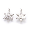 Brass Micro Pave Cubic Zirconia Pendants X-KK-F774-10P-NR-2