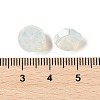 K9 Glass GLAA-R001-04C-01-2