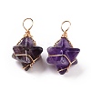 Natural Amethyst Copper Wire Wrapped Pendants G-B041-02G-12-2