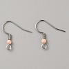 304 Stainless Steel Earring Hooks LS-STAS-WH0027-64P-02-1