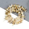 Natural Trochus Shell Beads Strands BSHE-H109-08-2