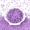FGB Frosted Transparent Glass Seed Beads SEED-N013-05A-07-2