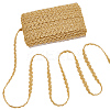 Polyester Braided Lace Trim Ribbon for Curtain Sofa Decoration OCOR-WH0105-013B-01-1