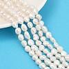 Natural Cultured Freshwater Pearl Beads Strands PEAR-P064-20N-01A-1