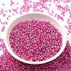 Glass Seed Beads X-SEED-S042-04B-19-2