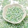 Two Tone Baking Paint Glass Seed Beads SEED-C004-03E-2