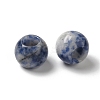 Natural Blue Spot Jasper European Beads G-N342-03D-2