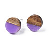 Opaque Resin & Walnut Wood Stud Earrings EJEW-N017-008-B09-2