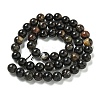 Natural Phlogopite Beads Strands G-P546-A01-03-4