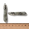 Natural Labradorite Pointed Big Pendants G-Z055-01P-23-3