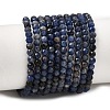 Natural Sodalite Bead Strands G-P279-58-3mm-01-1